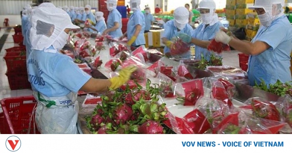 Workshop examines export opportunities for farm produce post COVID-19 - Vimarsana News
