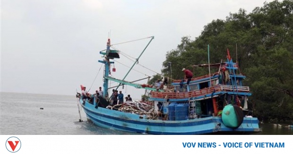 Kien Giang making every effort to fight IUU fishing - Vimarsana News