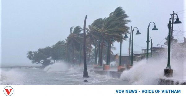 Tropical depression and two storms to enter East Sea this week