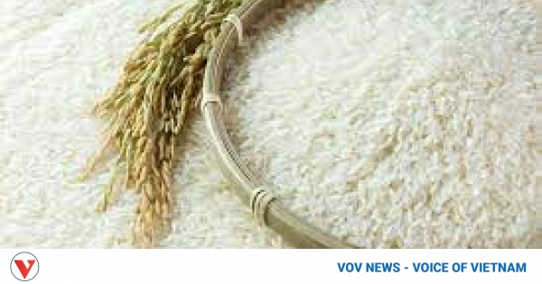 Vietnam’s rice and coffee acutely vulnerable from El Nino: HSBC economists