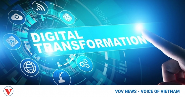 Centre for digital transformation takes shape in HCM City