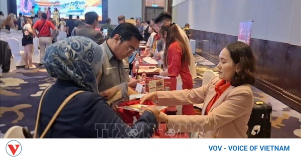 色调和丹南将越南中部旅游业推向马来西亚市场