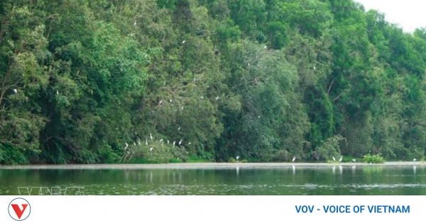 Initiatives drive Vietnam push to protect biodiversity for sustainable ...