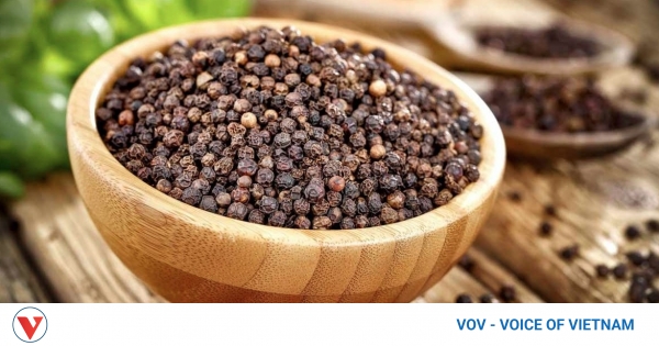 Vietnam exports 95,100 tonnes of pepper, US tops buyers at premium prices
