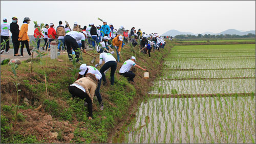 trong-cay-xanh.jpg