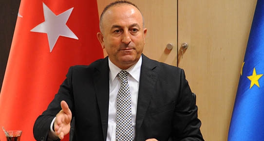 images1622214_mevlut_cavusoglu_iavq.jpg