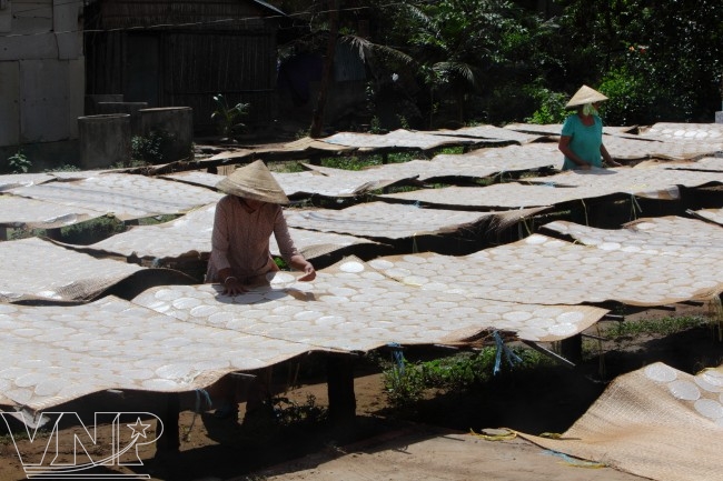 Bánh phồng Sơn Đốc- Đậm đà hương vị xứ Dừa ngày Tết - Thuyết minh về Bánh phồng Sơn Đốc 4