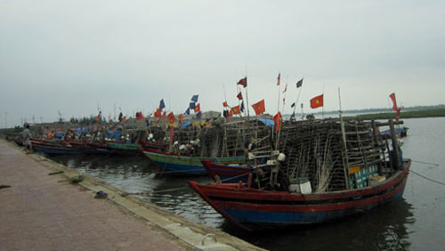 tranh-bao.jpg