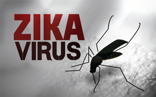 zika_virus_qnet.jpg