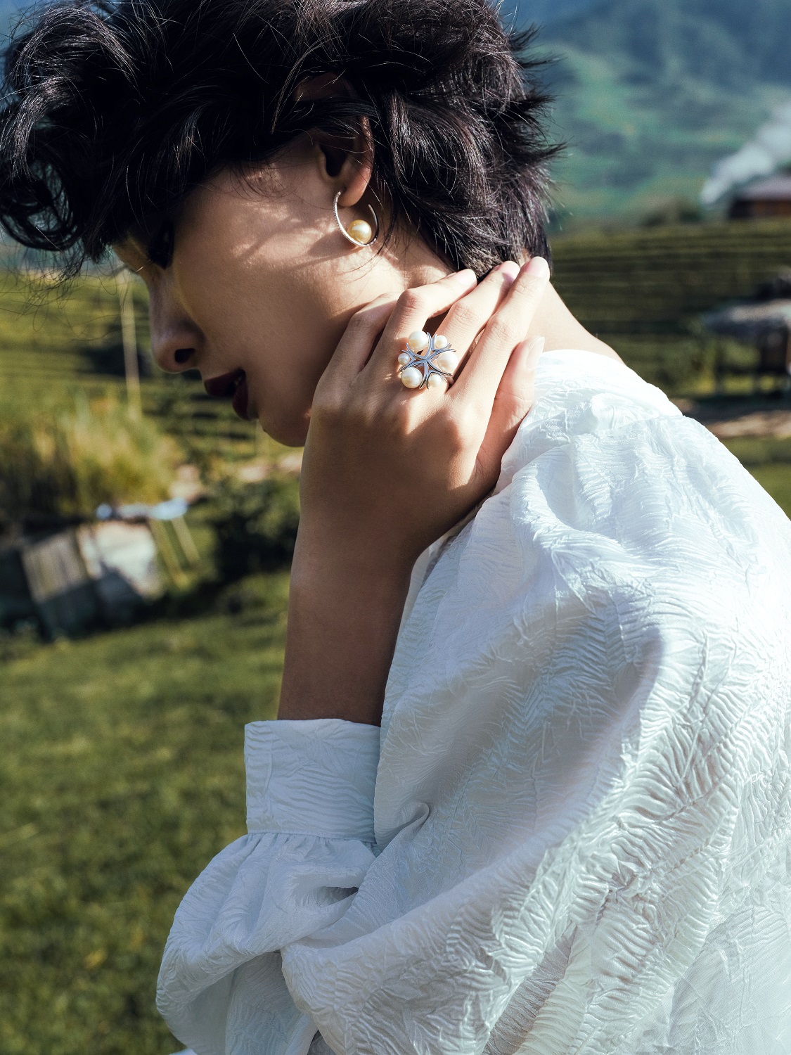 tuyet lan hoa nang tho trong bst cam hung vung cao cua le thanh hoa hinh 4