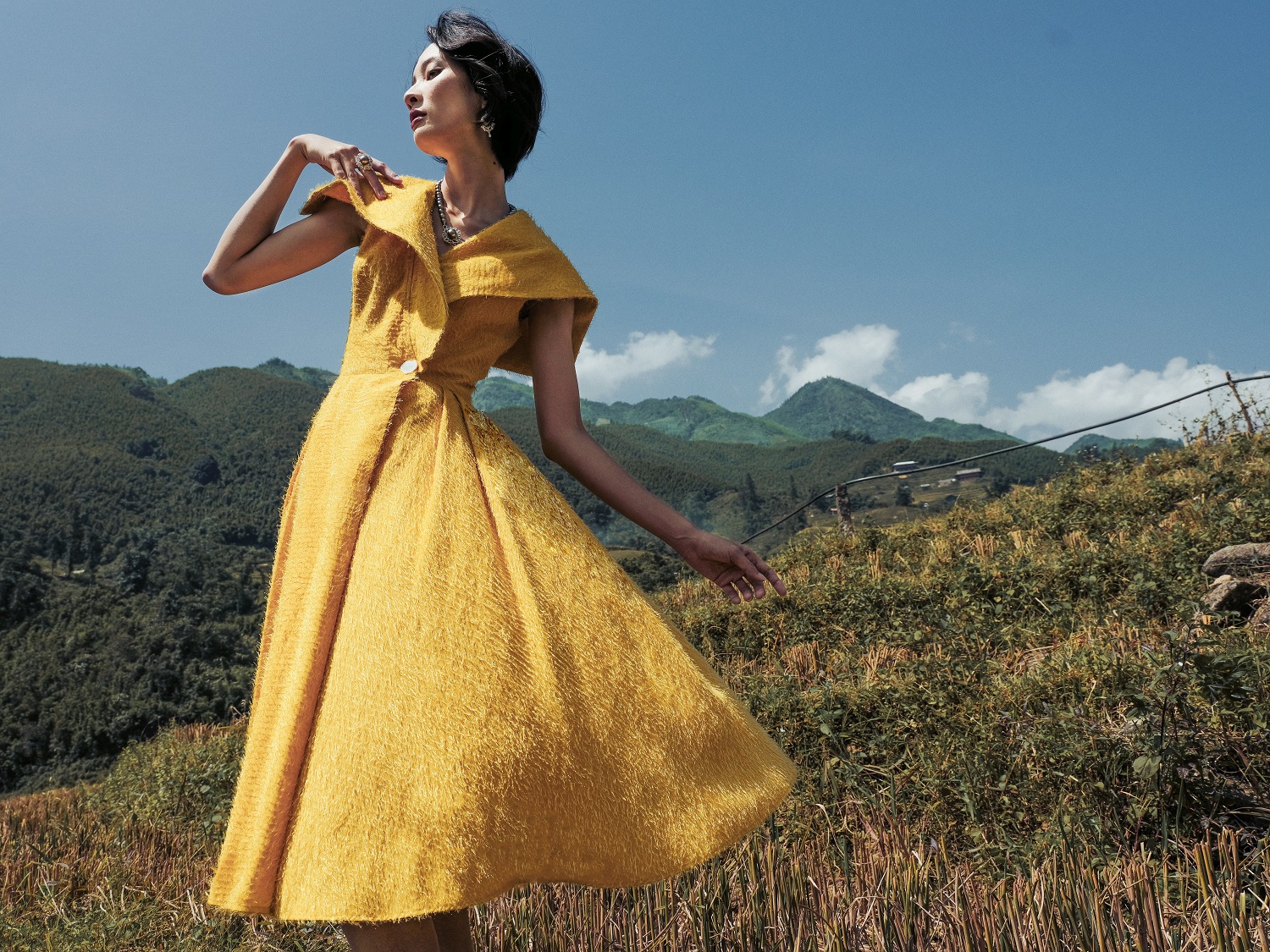 tuyet lan hoa nang tho trong bst cam hung vung cao cua le thanh hoa hinh 8